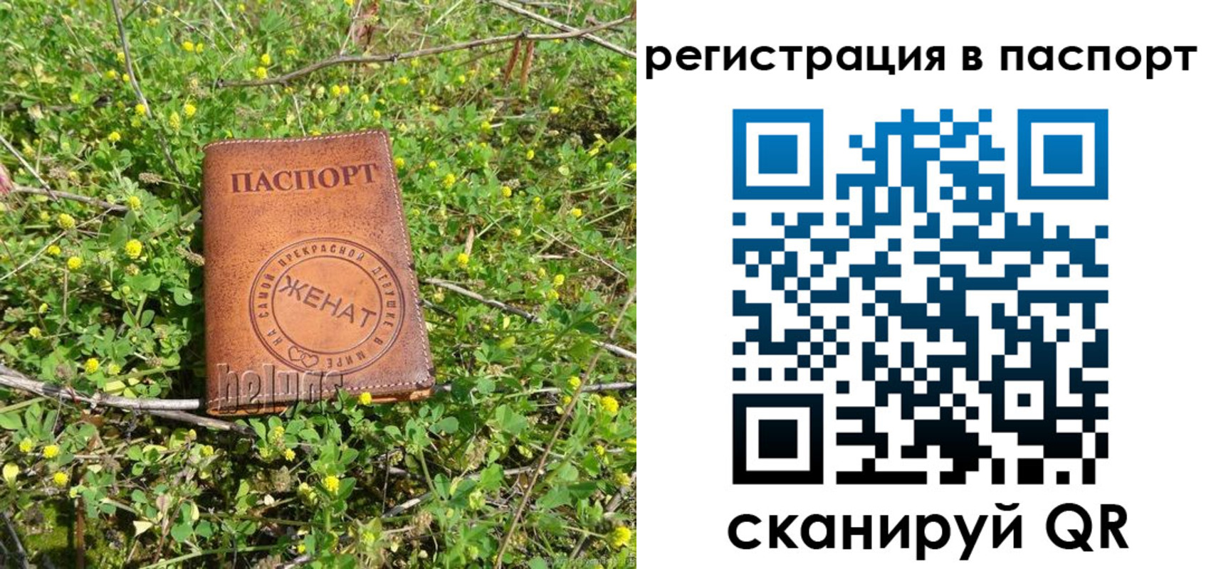 прописка законно в Наволоках